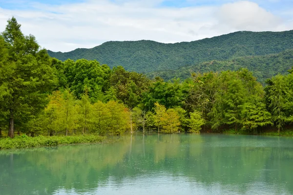 Vista frontal do lago — Fotografia de Stock