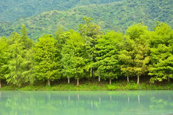 湖畔视图 — 图库照片