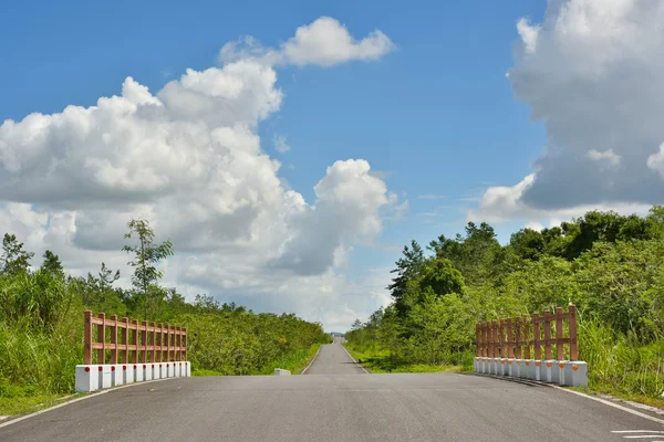 Road between forest — Stock Photo, Image