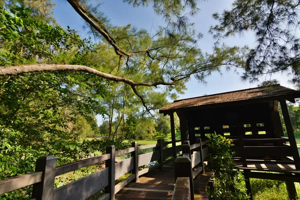 Parque Florestal Taitung — Fotografia de Stock