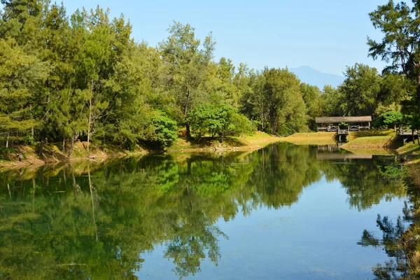 Лісопарку Taitung — стокове фото