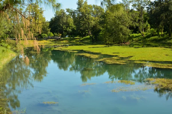 Taitung-Waldpark — Stockfoto