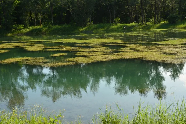 Parque Florestal Taitung — Fotografia de Stock