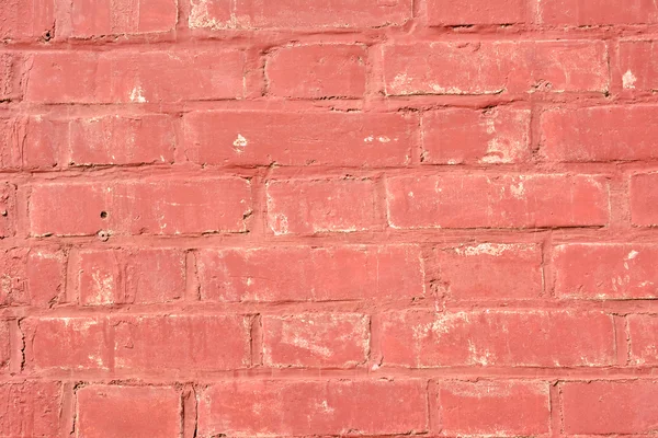 红砖墙 — 图库照片