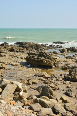 kayalık sahil şeridi