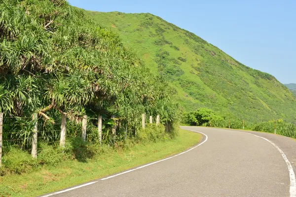 Country road — Stock Photo, Image