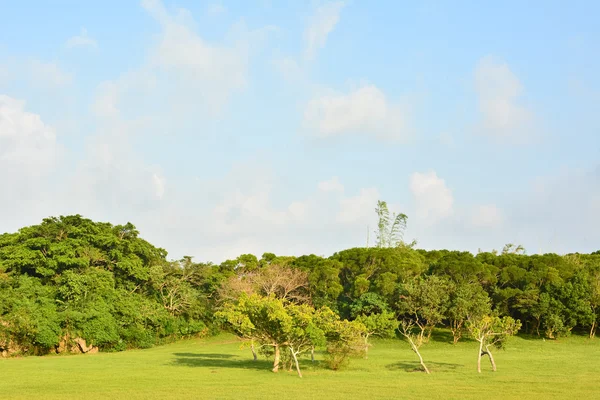 Beautiful countryside — Stock Photo, Image