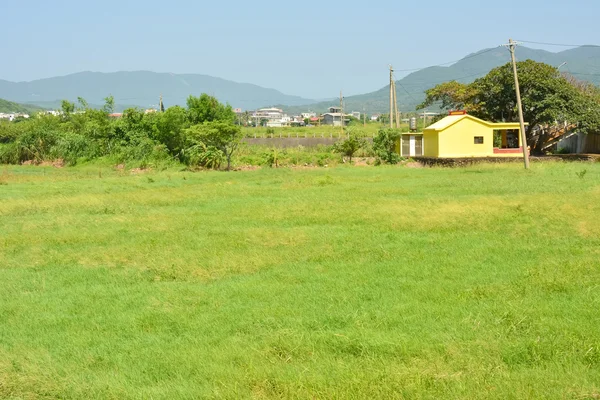 Çayır ile peyzaj — Stok fotoğraf