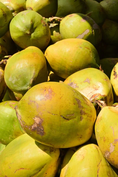 Kokosnüsse — Stockfoto