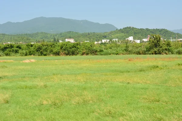 Landschaft mit Wiese — Stockfoto