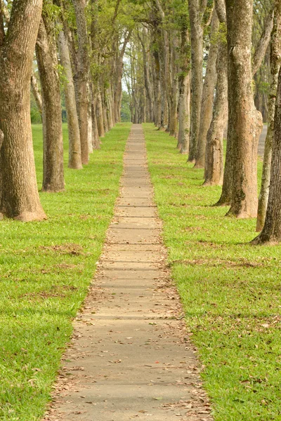 Gehweg im Park — Stockfoto