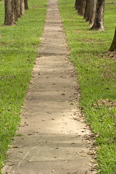 Passarela no parque — Fotografia de Stock