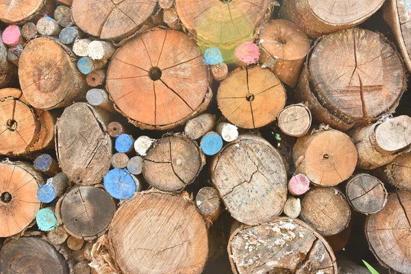 Pile of wood logs — Stock Photo, Image