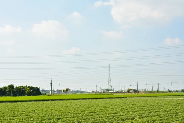 電子タワー — ストック写真