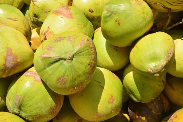 Coconuts — Stock Photo, Image