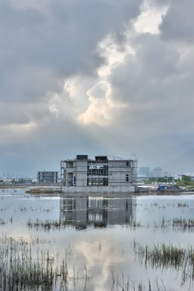 Idyllic landscape with a swamp — Stock Photo, Image