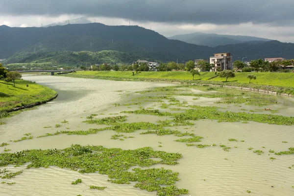 Fiume invaso contaminato — Foto Stock