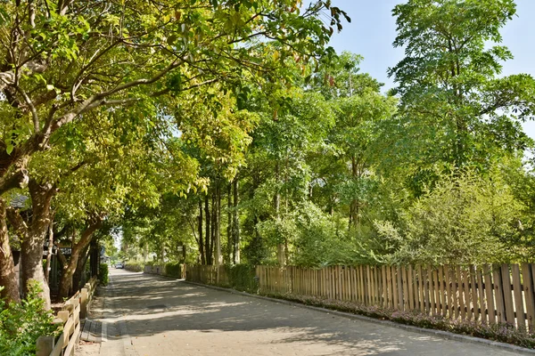 Straße mit Baum — Stockfoto