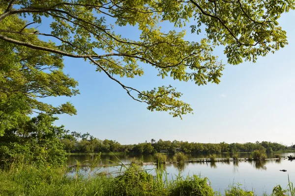 Luodong-Waldgarten — Stockfoto