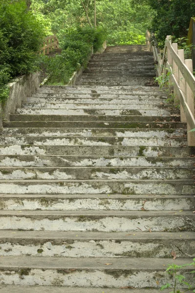 公園の美しい階段 — ストック写真