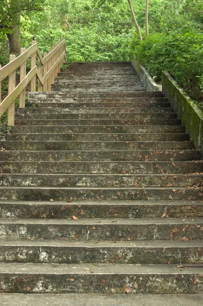 A park gyönyörű lépcső — Stock Fotó