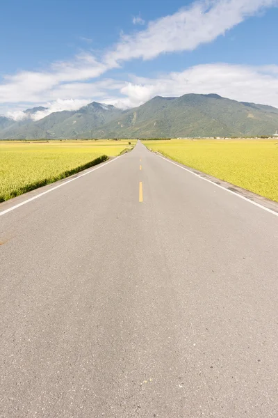 農村部の道路 — ストック写真