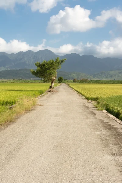 Road and farm — Stock Photo, Image