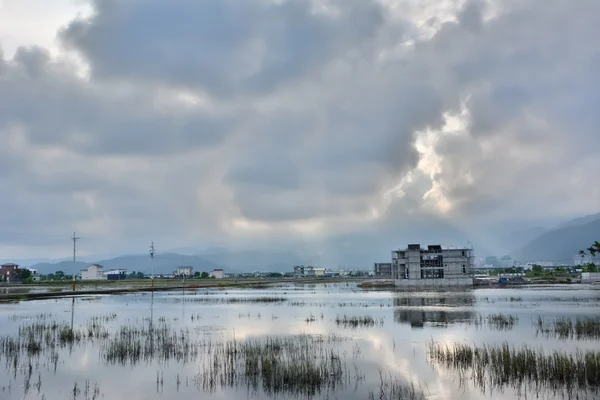 Landschap met een moeras — Stockfoto