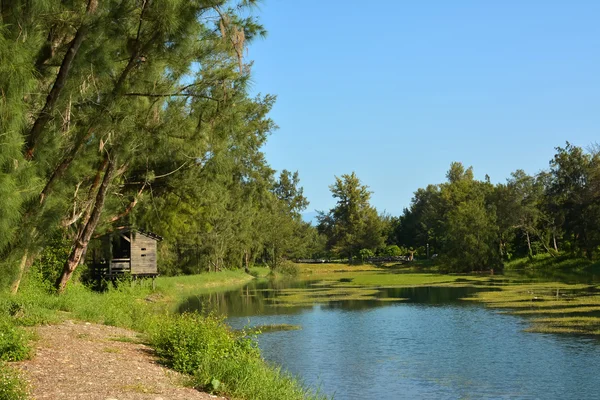 Pipa lago — Foto Stock