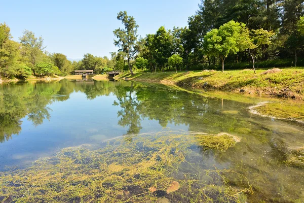 Pipa lago — Foto Stock