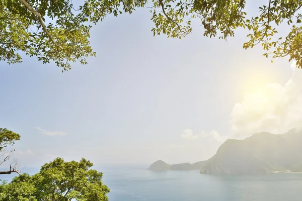 Paisagem do oceano com floresta sob a luz do sol — Fotografia de Stock