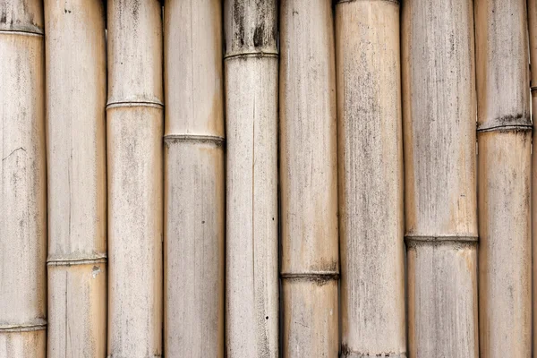 Textura de fundo de bambu — Fotografia de Stock
