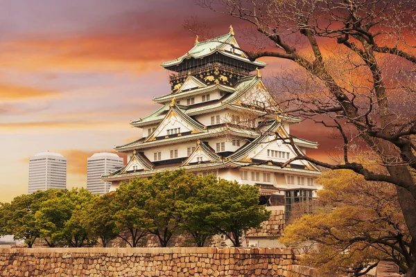 Osaka-Burg — Stockfoto