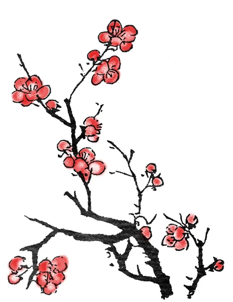 Pintura chinesa de flor de ameixa — Fotografia de Stock