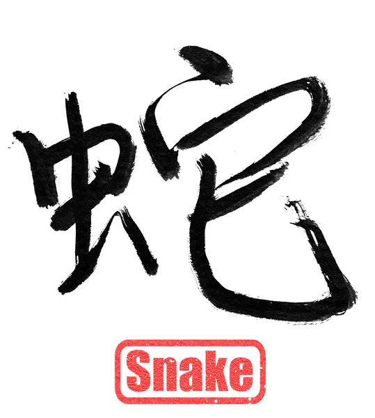 Calligraphy word, snake — Stock Photo, Image