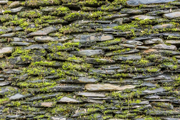 Muro di pietra con muschio verde — Foto Stock