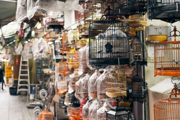 Cenário de gaiolas de pássaros — Fotografia de Stock