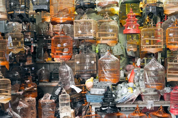 Cenário de gaiolas de pássaros — Fotografia de Stock