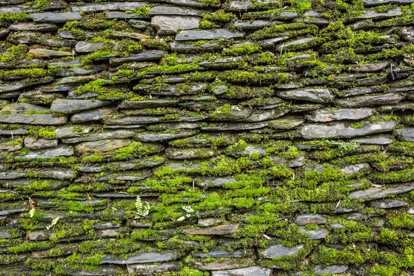 Stone wall with green moss — Stock Photo, Image