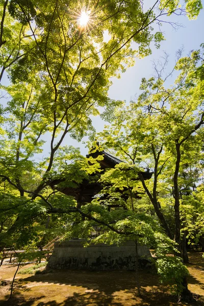 Gazebo en jardín japonés, Kyoto, Japón —  Fotos de Stock