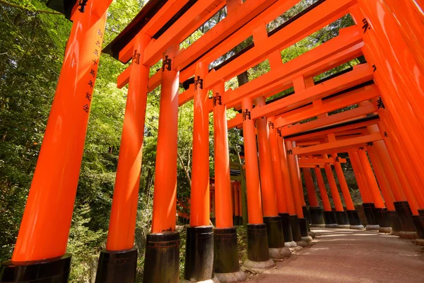 Thousands of Torii with green trees — Stock Photo, Image