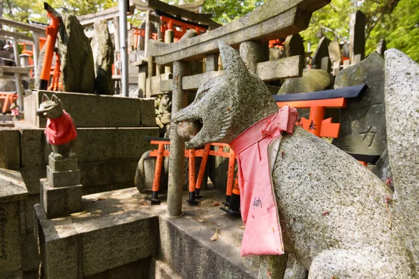 Statue in pietra di volpe e molti piccoli torii . — Foto Stock