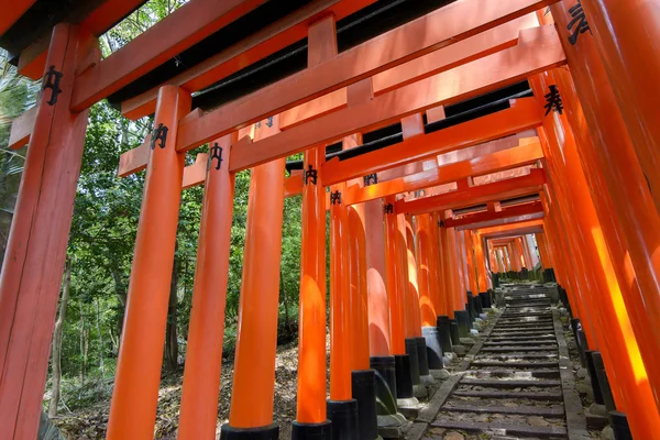 Milhares de Torii com degraus de pedra — Fotografia de Stock