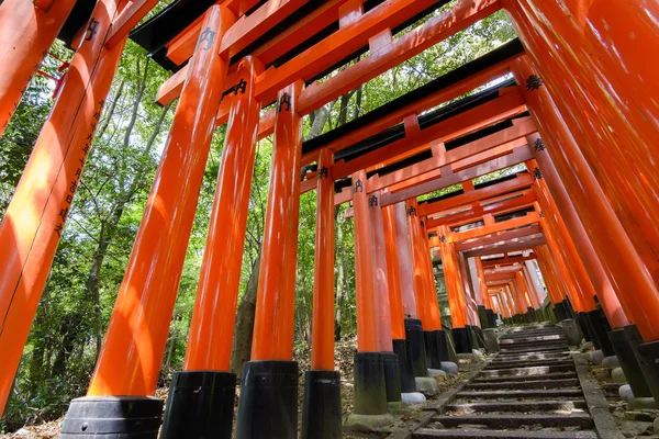 Thousands of Torii with stone steps — Stock Photo, Image