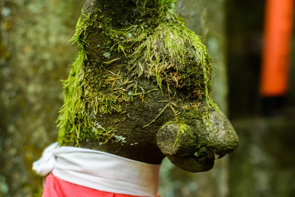 Closeup covered with moss stone fox statue. — Stock Photo, Image