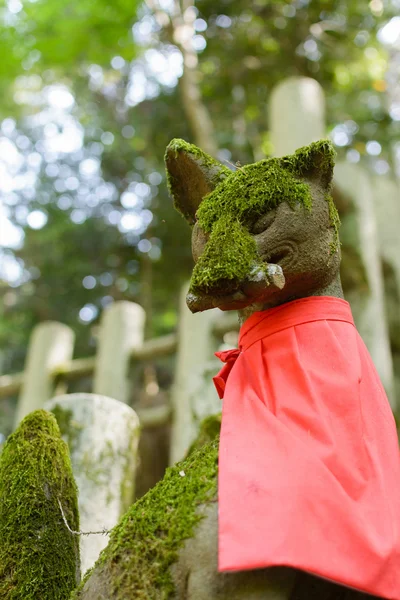 Closeup coberto com estátua de raposa de pedra musgo . — Fotografia de Stock