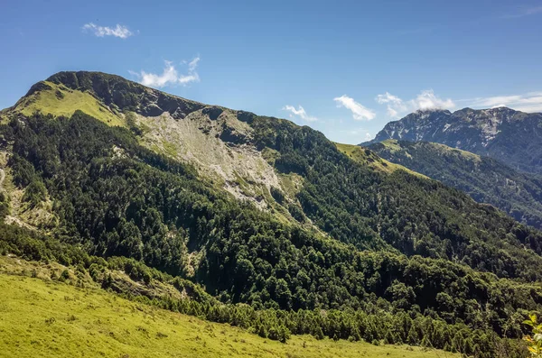 Landskap Hehuan Med Gräsmark Taroko Nationalpark Taiwan — Stockfoto