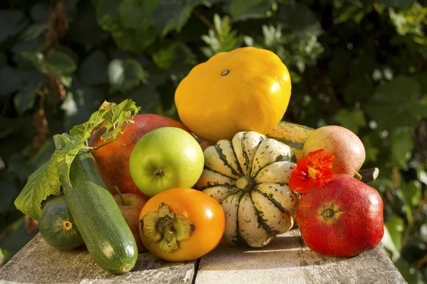 Gemüseernte im Herbst — Stockfoto