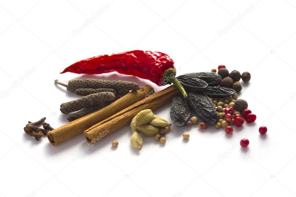 Spice collection isolated on white