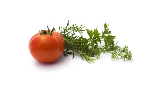 Various herbs and tomato isolated on white — Stock Photo, Image